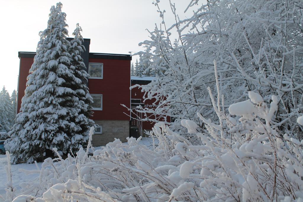 Appartement Der Buchenhof à Braunlage Extérieur photo